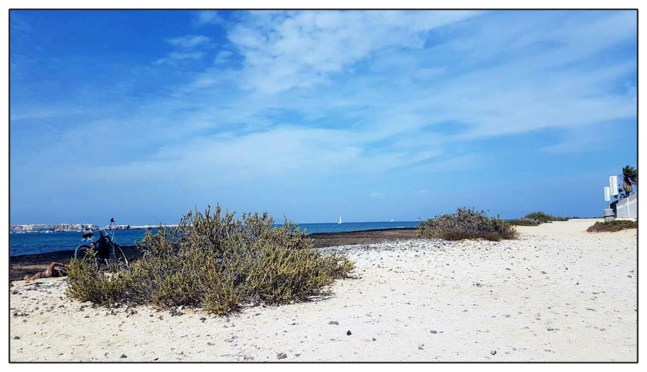 شقة Lur De La Playa كوراليهو المظهر الخارجي الصورة